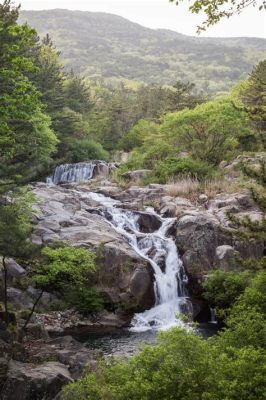  장산수원과 낭만 가득한 정원 산책을 경험해 보세요!